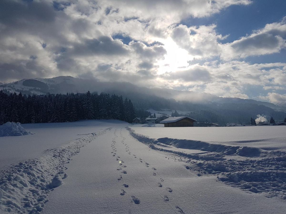 Fruehstueckspension Tannenhof Kirchberg in Tirol Dış mekan fotoğraf